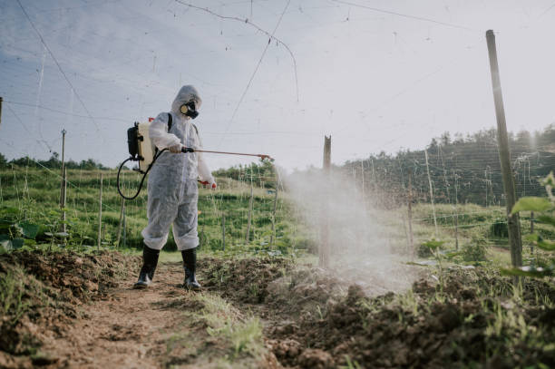 Best Affordable Pest Control Services  in Shenorock, NY