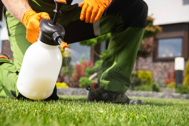 Best Wildlife Control Services  in Shenorock, NY