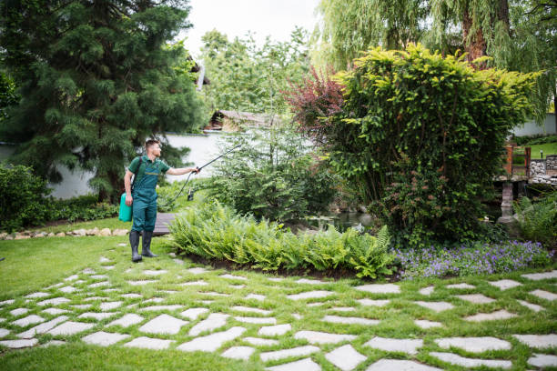 Best Pest Control Near Me  in Shenorock, NY