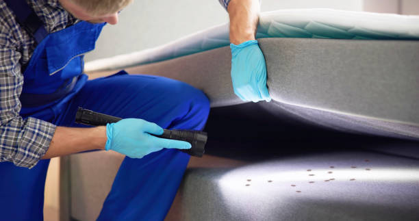 Best Pest Inspection Near Me  in Shenorock, NY