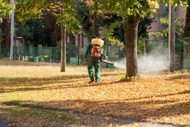 Best Pest Prevention Services  in Shenorock, NY