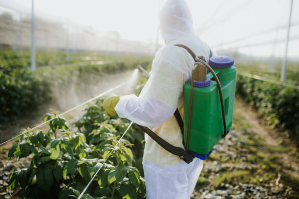 Best Mosquito Control Services  in Shenorock, NY